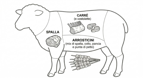 Tagli degli ovini suggeriti per la griglia diretta