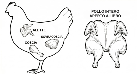 Tagli del pollo suggeriti per la griglia diretta