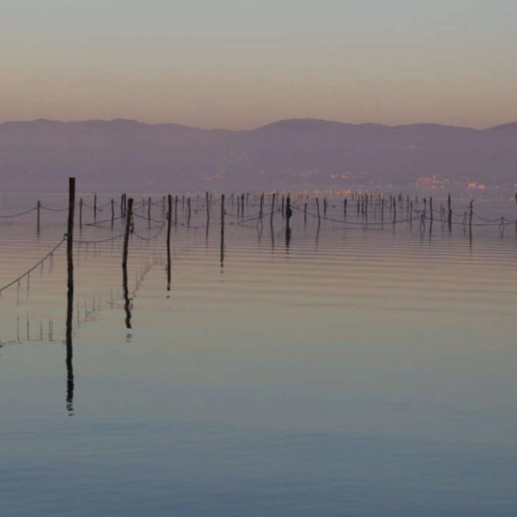 Lago Trasimeno