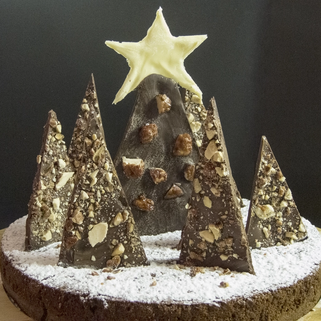 Cake design: la foresta di Natale al cioccolato