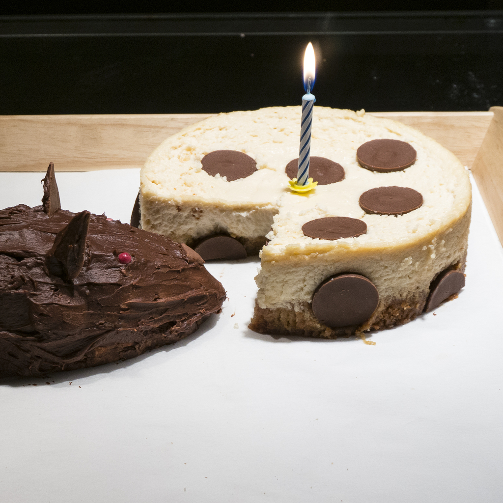 Cake design di carnevale: cheesecake con topo di cioccolata