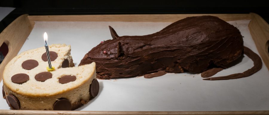 cheesecake-topo-cioccolata